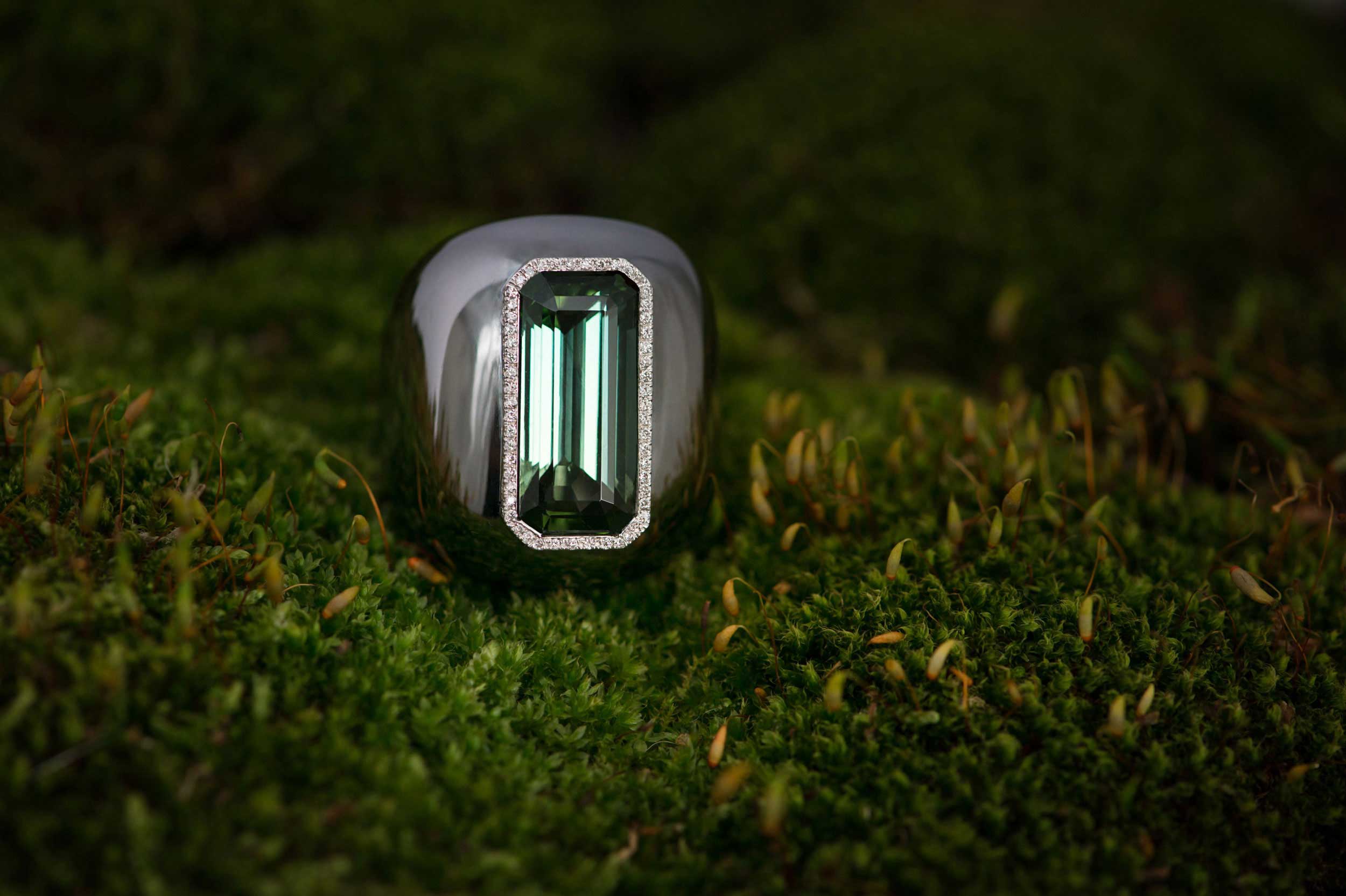 Palwer Jewel