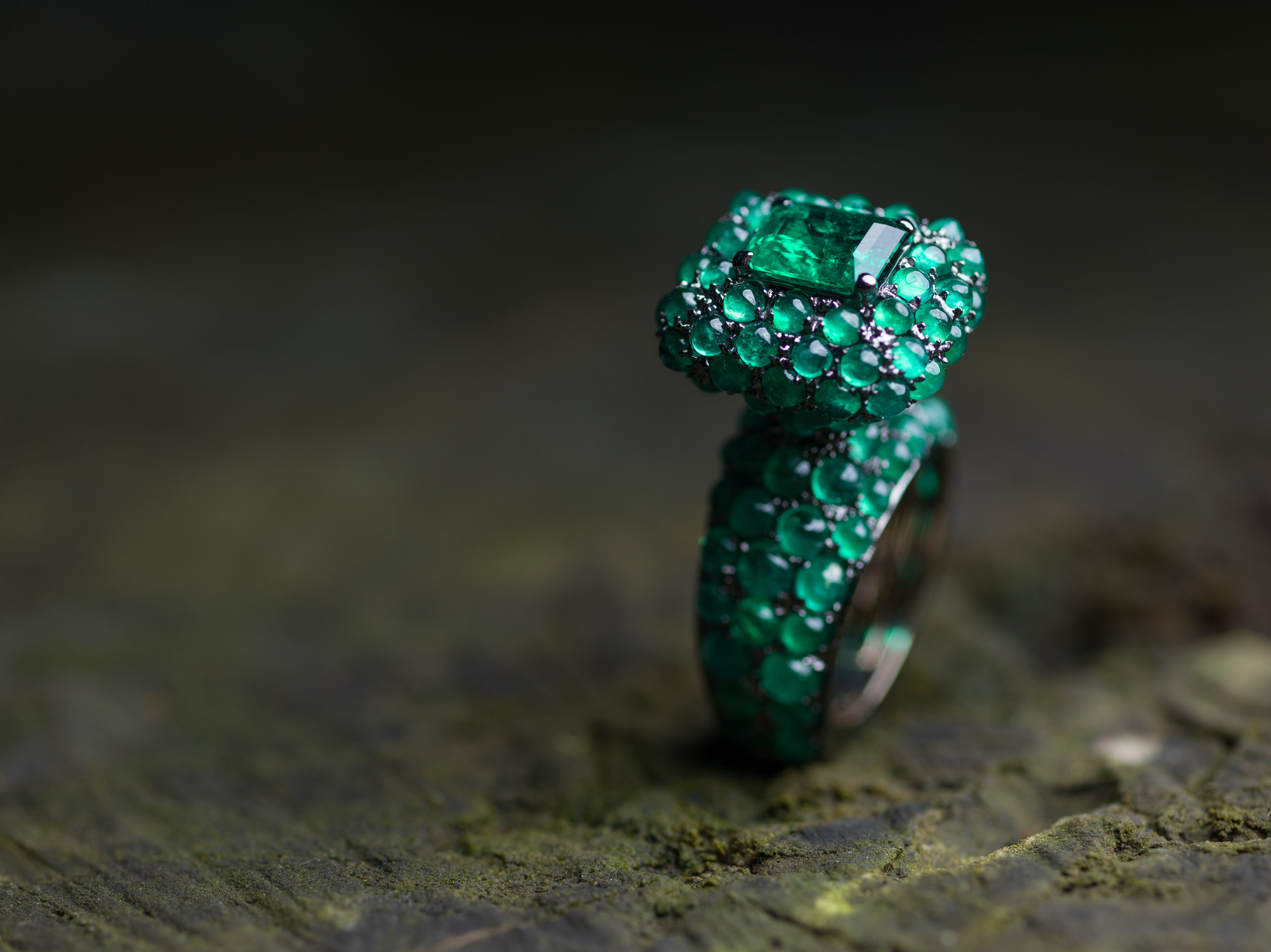 Palwer Jewel